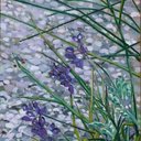 Karla Roberson Man - @karla_man - Twitter