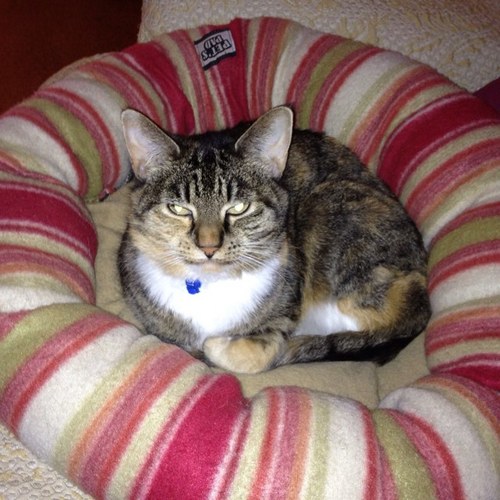 1SAVANNA1's profile picture. A happy go lucky person, just loving life with family and friends...