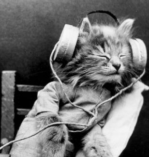 bigorangegeek's profile picture. Tall, orange, oft freckled geek, thriving on beach time and sleek sparkly code, lover of penguins and kitty cats, sorrowfully incapable of tanning.