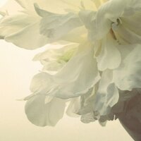 Cynthia Turner (@cynthiamfg) 's Twitter Profile