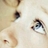 Jana_Shadid's profile image