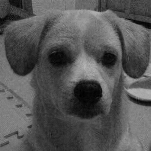 フォローしてくれた皆さん誠にありがとうございます。
お互いに、ツイッターを通して楽しめますように、、、
