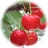 cherry7k's profile image