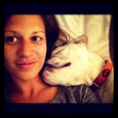 sarstich's profile picture. Happy camper, pop culture enthusiast, chatter box, bulldog lover and arnold palmer connoisseur.