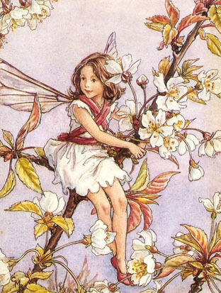 DrCappa's profile picture. Non chiederti come sarà il domani ma inizia a costruirlo oggi.