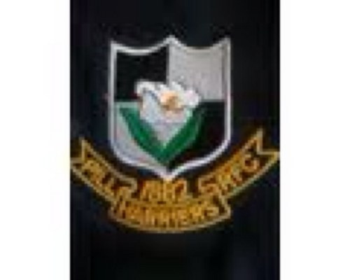 Pill Harriers RFC Profile