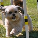 Carolyn Manuel - @cgmanuel - Twitter