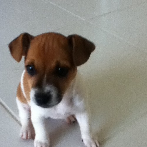 hey_its_Claudia's profile picture. um yeah...