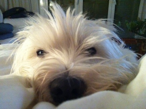 tatianna789's profile picture. 