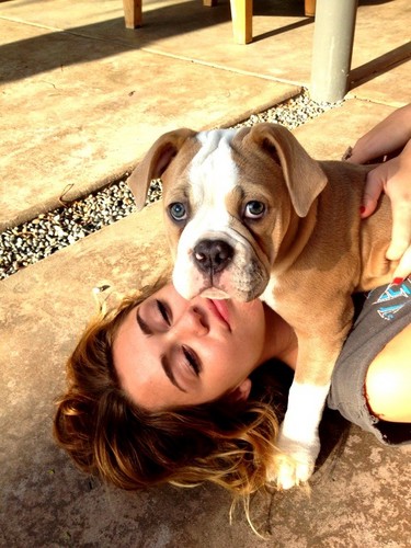 Hola soy smiler amo a miley eso siganme