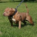 thomas aleman - @thomasaleman1 - Twitter