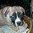Wood_Pictures's profile image
