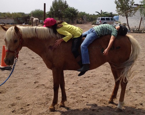 vgcuevas's profile picture. 