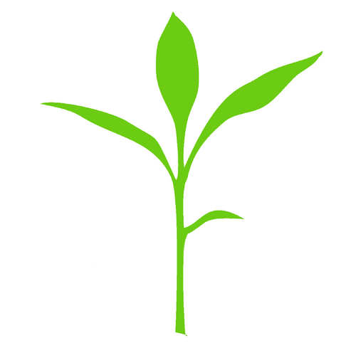 cogpww's profile picture. The Perth-Waterloo-Wellington Chapter of the Canadian Organic Growers.