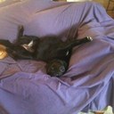 Matthew Peebles - @mpeebles77 - Twitter