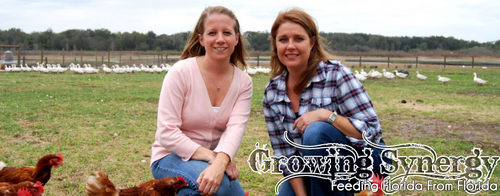 Feeding Florida from Florida- offering local meats, produce, dairy and handcrafted foods to restaurants and consumers