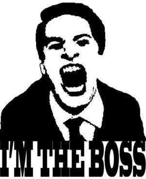 My boss says some amazing shit. Every tweet is a real quote. We also retweet other funny boss quotes. Follow us if you like laughing!