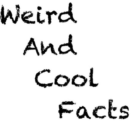 WeridAndCool's profile picture. 