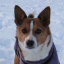 Laurel Christian - @muchachojr - Twitter