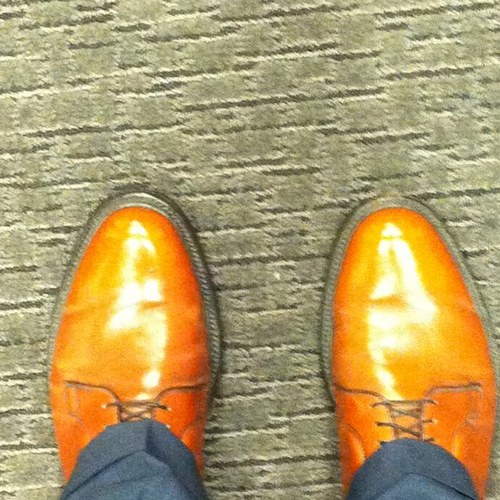 Nedwalton34's profile picture. searching for my bite of the apple...