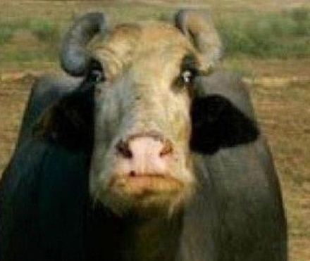 LarsvOliver's profile picture. Members, please take a moment of prayer as we remember the tragedy that struck the USA 9/11/01