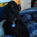 Maximus D Gregory - @Maximus_Gregory - Twitter