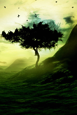 _gary_pachico's profile picture. 