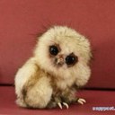 R i s A :-) - @risa_morimoto - Twitter