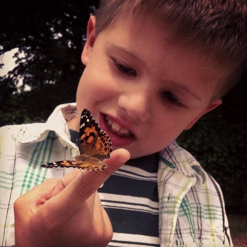 kidfriendlydfw's profile picture. 