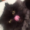 Lori Woolsey - @lori_woolsey - Twitter