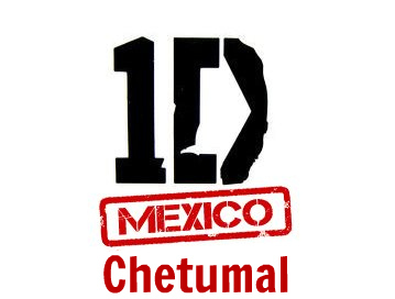 Primer Fan Club oficial de One Direction en Chetumal, México♥