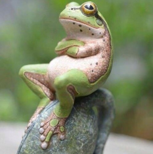 blackpig's profile picture. I am me whats more to know ?