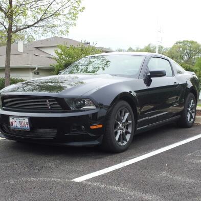 trysavyrex's profile picture. Chi City