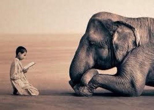 love,politics,humanity,buddist,interconnectedness,occupy,liberal, peace,kindness,learning, philosopher,ppl watcher/ lover FUTURE PRESIDENT