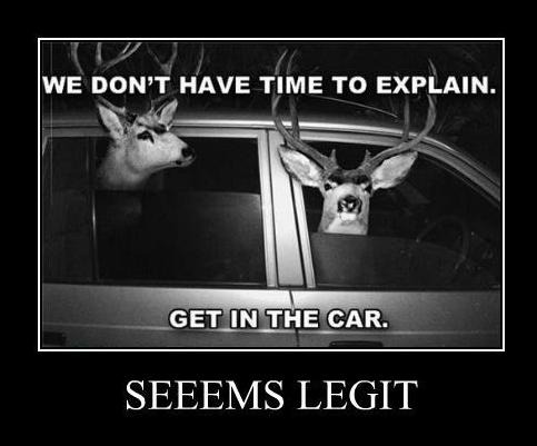 MBWallace15's profile picture. 