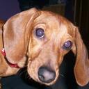 Tasha Thacker - @_tbtx3 - Twitter