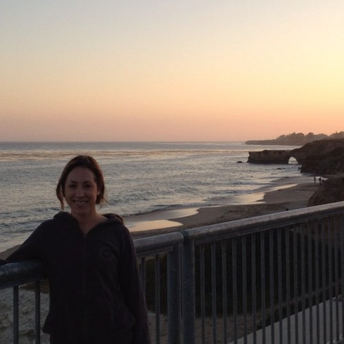 I live in lovely Santa Cruz, California with my husband Dan. I work for Vans as an independent sales rep for Northern California.