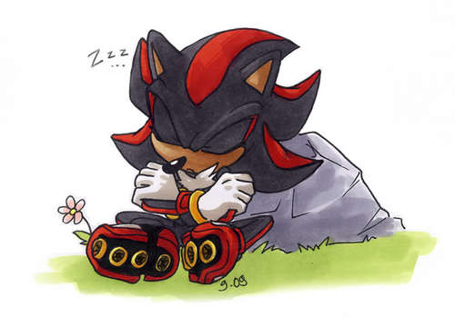 Hmph,Welcome,My Name is Shadow...Shadow The Hedgehog...Come close if you dare..