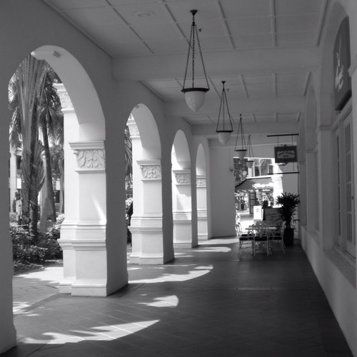 nikohgnuel's profile picture. oh lover, hold on.