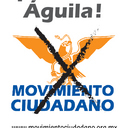 Abogada. Maestría en la UT en Austin. Postulante a Doctora UNAM. Incansable activista progresista comprometida  con las mujeres. Premio a la MUJER DEL AÑO 2011