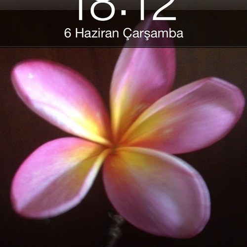 UBRCU's profile picture. 