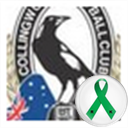 shammrok's profile picture. Collingwood Football club.
 Celtic thunder.
 Jamie  Oliver.
Gardening.
 Cooking.
 photography.