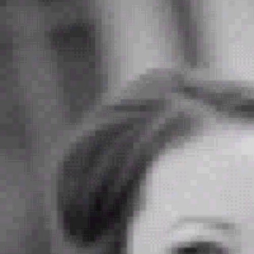 klottrn's profile picture. 