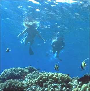 kenzie135's profile picture. 