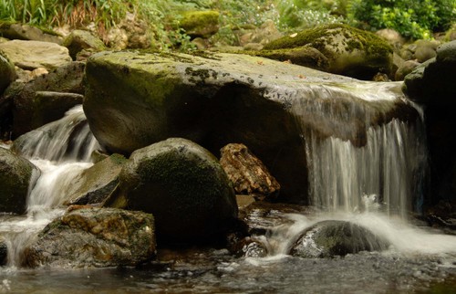 Diversity in Upland Rivers for Ecosystem Service Sustainability. £3M NERC consortium project on biodiversity, function and value in upland Welsh rivers.