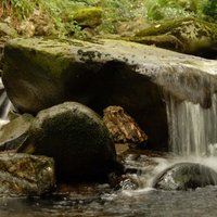 DURESS (@duress_hq) 's Twitter Profile