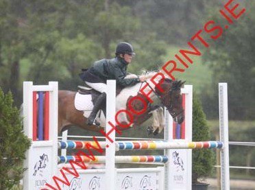 showjumping , racing , and abit of the craic with all the lawdsss :)