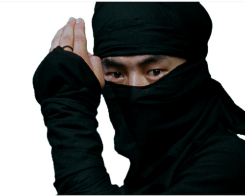 913Ninja's profile picture. I am Ninja.