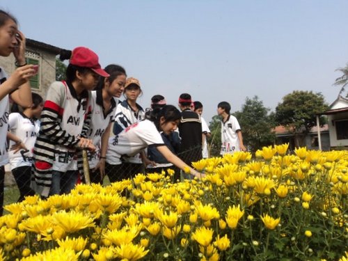 NguynThLHng1's profile picture. I love song joong ki