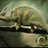 SandiVidovic's profile image